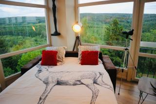 Ardennes Forest - Nassogne - 0