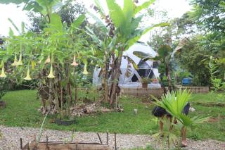 selvamorena - Mocoa - 1