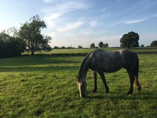 Templemacateer - Westmeath - 2