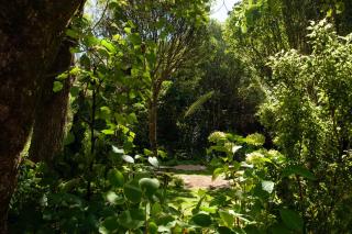 Blythcliffe - Akaroa - 3