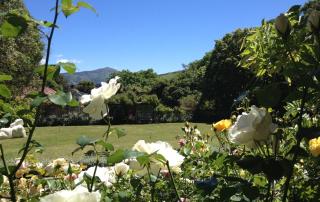 Blythcliffe - Akaroa - 8