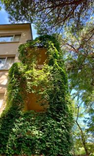 Hotel Garni Picnic - Riccione - 7