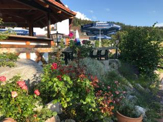 Hotel-Berggasthof Schwarzwaldperle - Sasbachwalden - 2
