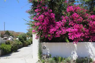 Pension Ioanna - Adamantas - 9