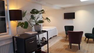 Hotell Villa Borgen - Visby - 1