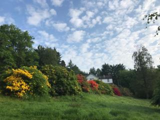 Mews Cottage Ardoch Lodge Strathyre - Strathyre - 9