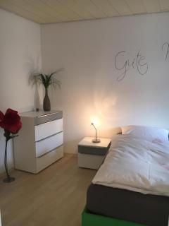 Gemütliches Appartement nähe Zentrum mit Küche - Haßfurt - 4