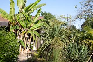 Villa Margaux - Fargues-Saint-Hilaire - 7