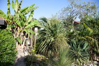 Villa Margaux - Fargues-Saint-Hilaire - 8