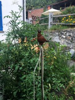 Ca' Dogana Vegia - 9