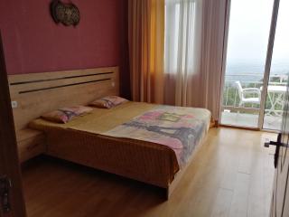 Guest House Alazani Valley - 4