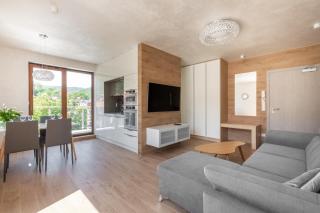 Apartamenty BlueSky - Ogrodnicza 7 i 9 - z widokiem na góry, w zielonej okolicy, blisko centrum i atrakcji Karpacza - Karpacz - 5
