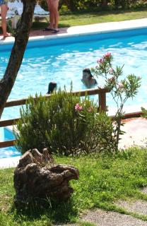 Park Hotel Faver - Tremosine Sul Garda - 7