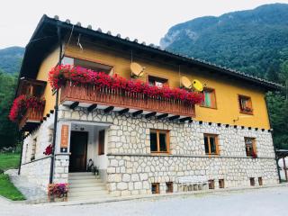 House Berdnik - Stahovica - 0