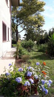 Agriturismo San Rocco - Marina di Grosseto - 6