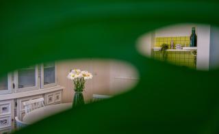 Irina's cozy apartment #20 - Tbilisi - 1