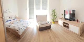 Penthouse Spudic Karlovac - Karlovac - 9