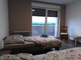 Jasna rooms - Ilirska Bistrica (Bisterza) - 7
