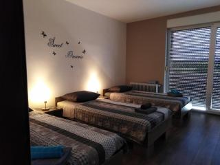Jasna rooms - Ilirska Bistrica (Bisterza) - 9