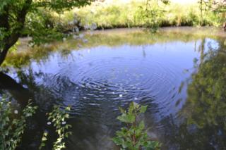 au fabuleux festin - 1