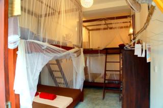 Chez Podi Surf Stay - 4