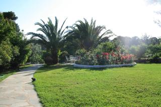 Katerina Studios - Koukounaries - 4