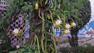 Apartamento con terraza y vistas al mar - 3