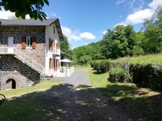 Maison à la campagne au cœur du Cantal dept 15 - Marmanhac - 3