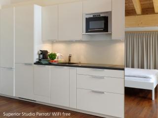 Zermatt Appartements - Zermatt - 9