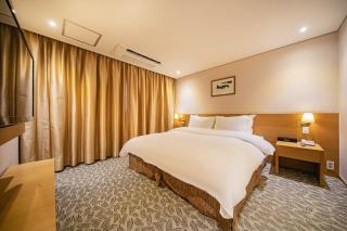 Benikea Hotel Bizinn - Wonju - 8