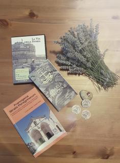 Guest house Il Nido - Velletri - 5