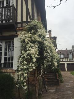Maison d'hôtes Paris Riverside - Saint-Maur-des-Fossés - 9