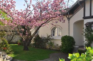Maison d'hôtes Paris Riverside - Saint-Maur-des-Fossés - 7