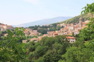 Casa Vacanze il Giardino - Appartamento Agrifoglio - Aritzo - 4