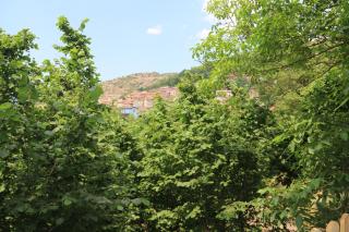 Casa Vacanze il Giardino - Appartamento Agrifoglio - Aritzo - 5