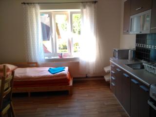 UBYTOVÁNÍ SVOJANOV - Svojanov - 1