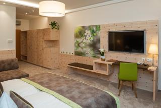 Thermenhotel PuchasPLUS Stegersbach - 3