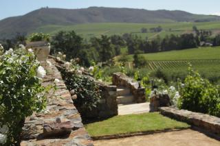 Casa Mori House - Stellenbosch - 3