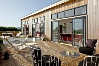 Cheddar Pink, Strawberryfield Park, Cheddar - 7