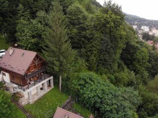 Florile Bucegilor - Sinaia - 8