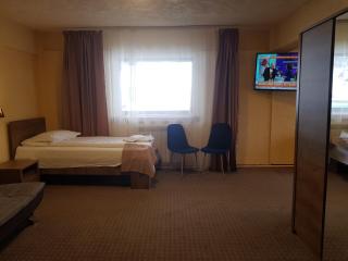 Cabana Fulg De Nea Predeal - 1