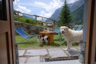 Walsertal Residence - Gressoney-La-Trinité - 3