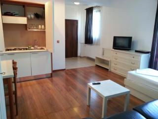 Banu Manta Apartments - Bucharest - 9