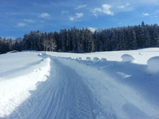 Hof Obertann - Kirchberg in Tirol - 5