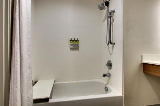Holiday Inn Express Georgetown by IHG - 3