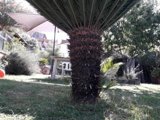 casa Marilena - 4