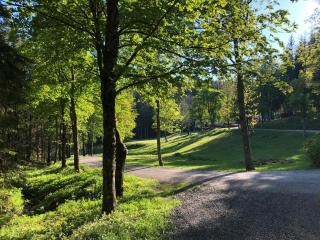 Domaine du Lac Ferrand - Saint-Cirgues-en-Montagne - 1