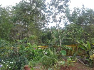 Chez Rosy - Le Robert - 2