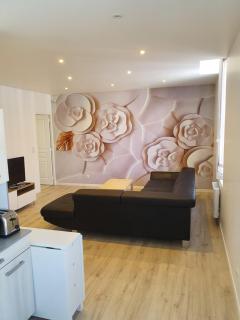 Suite Boudet 16 - Reims - 8