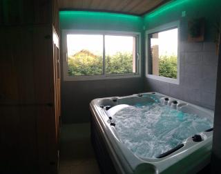 les charmes du lac Sauna et Spa - Gérardmer - 5